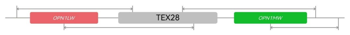 2035911605174706176.png