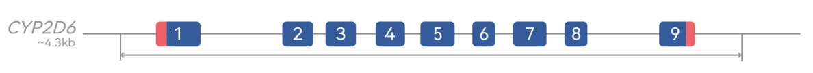 2035912401144553472.png 2035912401144553472.png